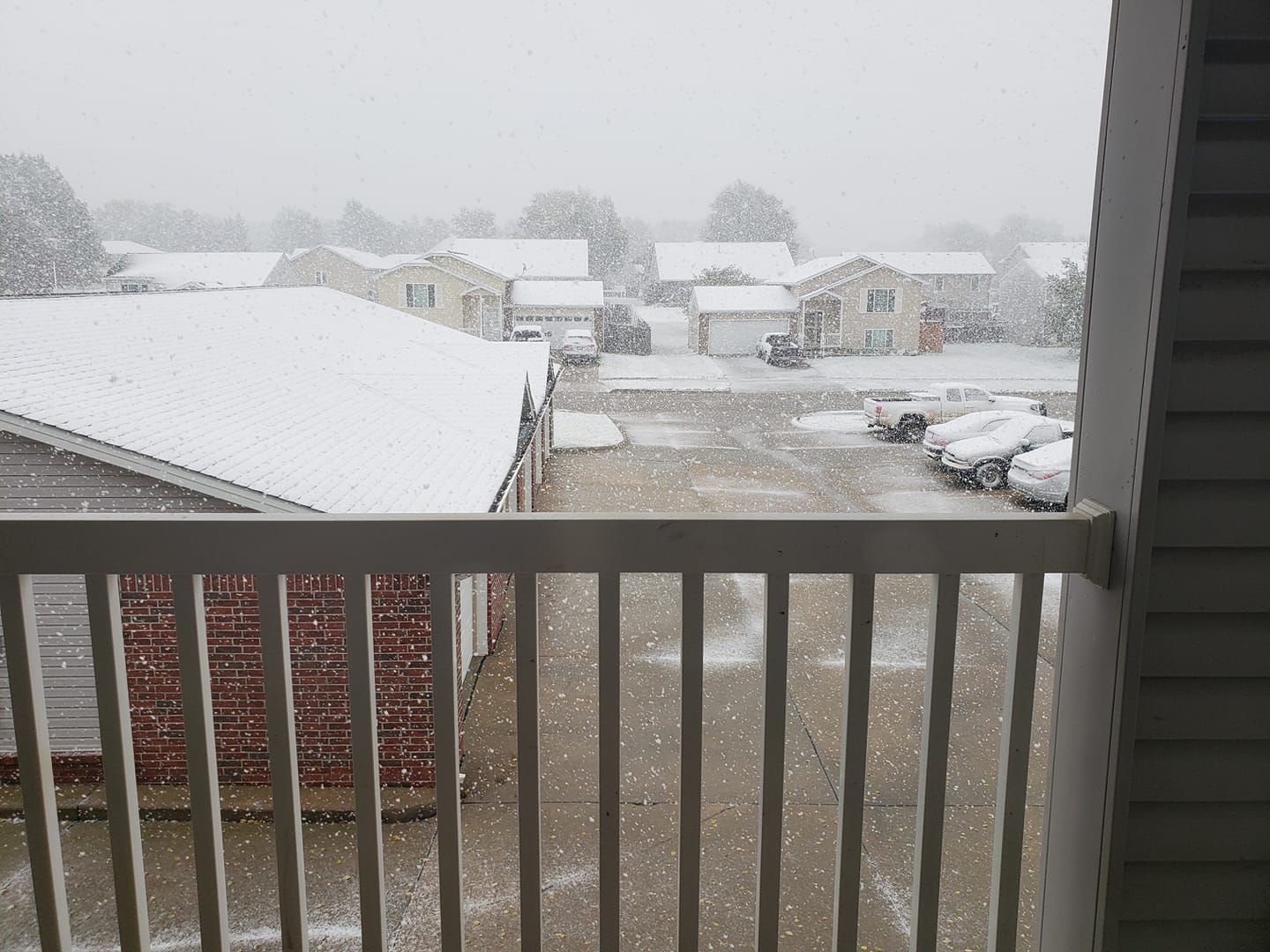 Snow, 10/14